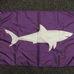 Along with the app, new  ?shark flags? will soon fly at Cape Cod beaches when there are sightings.